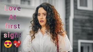 Love At First Sight Status Cat Kati Ask Status Love Movement M24Beats