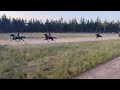 Traditional Horse Racing Esabelweni MP 05 04 2026 