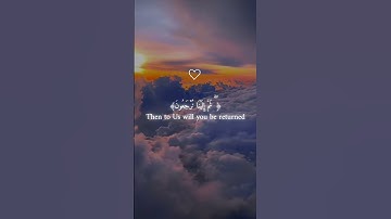 عبد الرحمن مسعد (كل نفس ذآئقة الموت)سورة العنكبوت راحة نفسية والطمأنينة #المصحف #راحة_نفسية #لايك