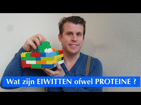 Wat zijn proteïne ofwel eiwitten ? | Daniel Vertelt ...