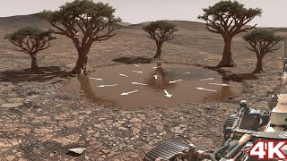 Perseverance Rover Latest Images Sol 1563 Mars Photos Mars In 4K Mars Rover Mars 4K Footages