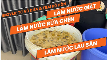 Thu hoạch enzyme từ vỏ trái Dứa, trái Bồ Hòn làm nước giặt, nước rửa chén, nước lau sàn #enzyme