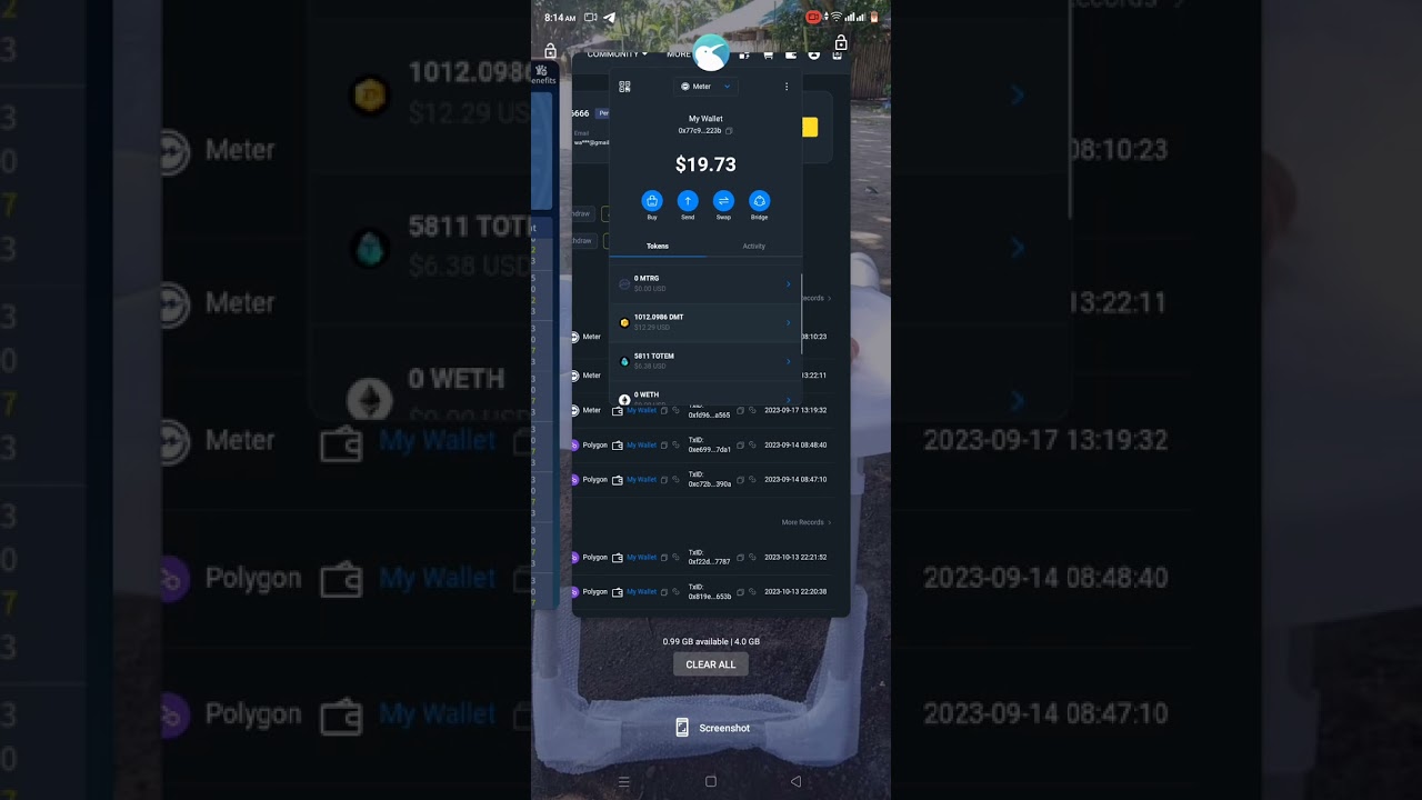How to withdraw and transfer totem/dmt on Dragon Master game app