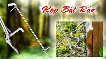 Kẹp Bắt Rắn - Kẹp Gắp Rắn, Lươn, Tôm, Cua, Cá Inox 304 Chống Gỉ Tuyệt Đối Dài 1m2 và 1m5 0987782098