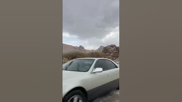 سورة الفاتحة القاري احمد الحواشي