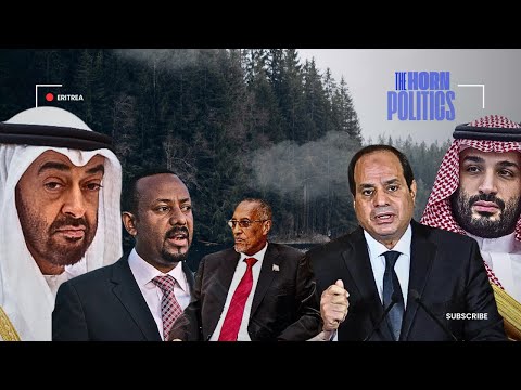 HPMN ኑዛዜ ሙሳ ቢሒ ግብጺ ተጠንቅቕ ብልጽግና ጉሰማ ኩናት ይቕጽል ፍጥጥ ኤርትራን ኢማራትን 