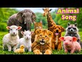 20 Cute Animal Sounds for Kids 🦓🐘 | Learn Animal Names and Sounds Monkey , Cat , cow