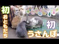 うさぎさん初めてのお外に挑戦！どうなる？フレンチロップのうさんぽ会