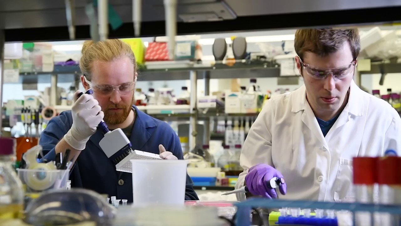 Faster, Cheaper, Better: A New Way to Synthesize DNA