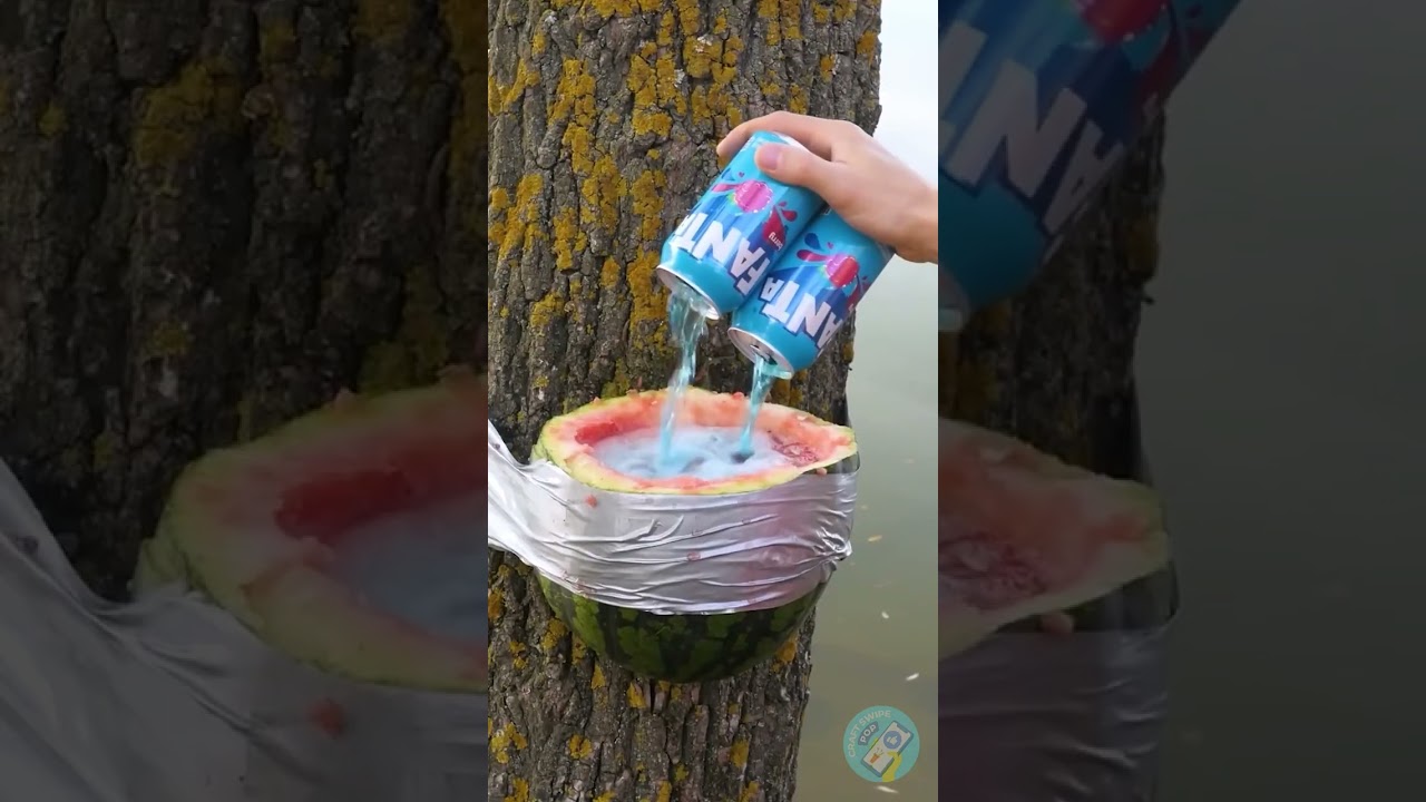 DIY Mini bar into the wild 