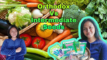 Orthodox Vs Intermediate Seeds
