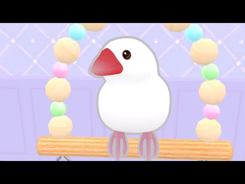 《幸福文鳥LIFE》官方 PV|手機遊戲好評上架中!