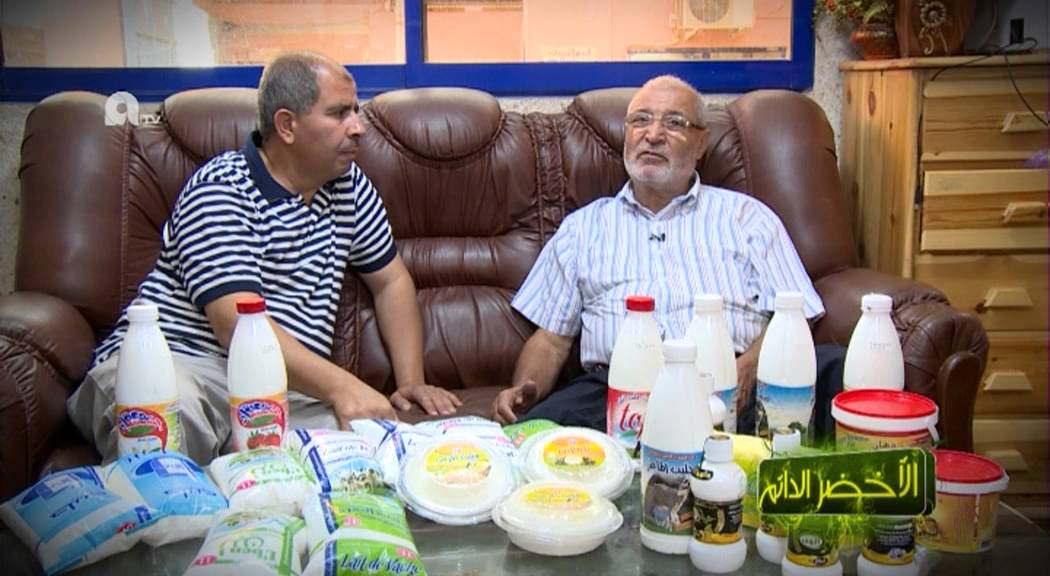 الجزائر : الأخضر الدائم، تربية الأبقار و المعز و إنتاج الحليب في غرداية