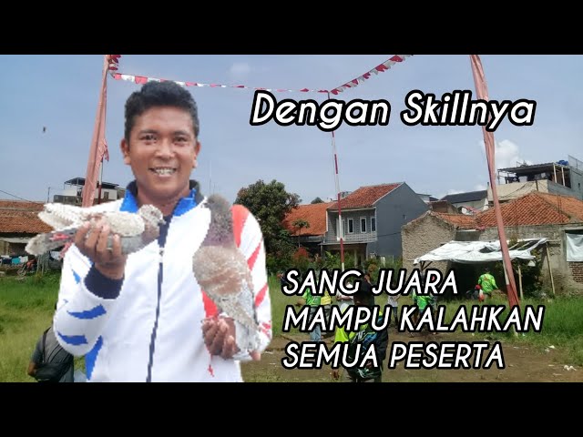 Skill Keren / Sang juara, Lewati Semua Peserta Lomba Merpati Tinggi / Dilapak C'DOGONG class=