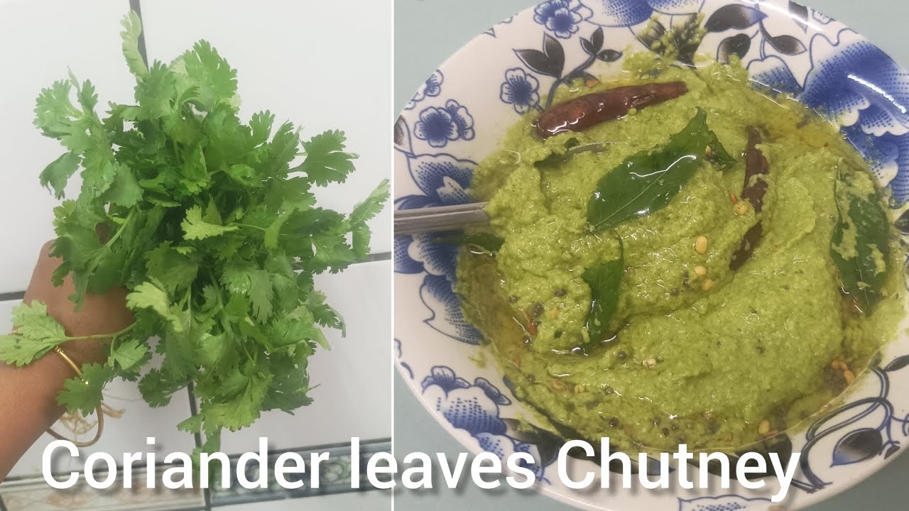 How do make Taste Coriander leaves Chutney in tamil/ side dish in