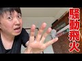 ドスコイに裏アカはありません!!!!