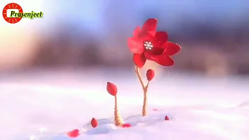 😘 So Cute 😍 3D Rabbit and Flowers  WhatsApp Status Video By Prasenjeet Meshram