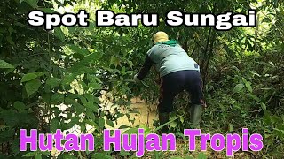 SPOT MANCING BARU,SUNGAI DI DALAM HUTAN TROPIS