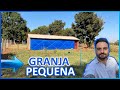 Como começar uma granja de pequeno porte: 5 passos iniciais