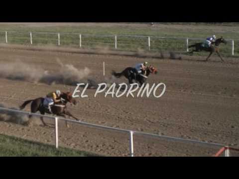 El Padrino Video