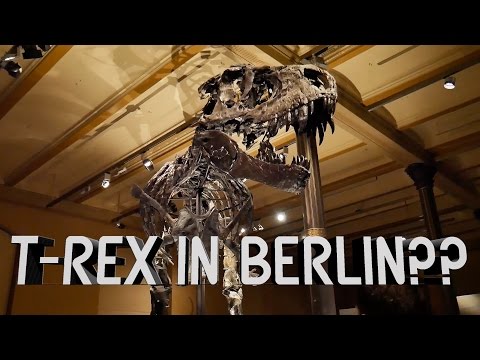 Finding A T-REX In Berlin??