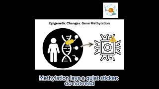 Epigenetic Modification in Cancer Cells