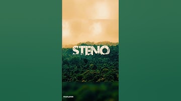 viral steno states #sscsteno2023 #shorthand #motivation #steno