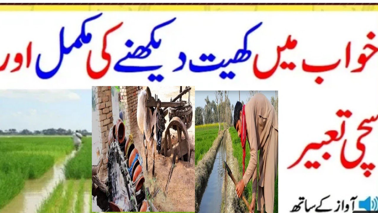 How to ajkal kapas ka liye kon si dawai faydemand hai or Pani kitna