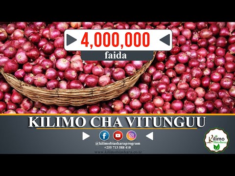 Video: Vyombo vya Kutunza Radishi - Kukuza na Kupanda Mbegu za Radishi kwenye Vyungu