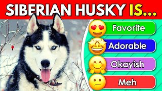 Tier List Rank the Dog Breeds from Favorite to Meh   Animal Quiz