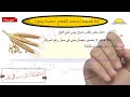 دقيقة عن سر الإعراب إعراب جملة كنا قديما نحصد القمح حصدا يدويا 