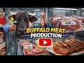 How Buffalo Meat Is Made | From Farm to Factory
