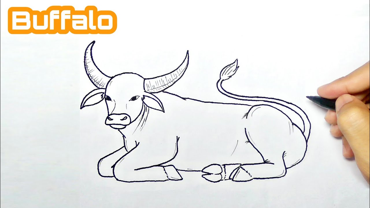 How to draw a buffalo step by step - Maxresdefault