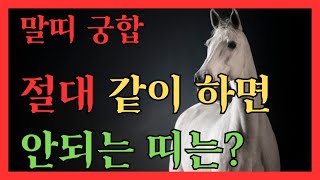 말띠 궁합 절대같이 하면 안되는띠? #말띠궁합