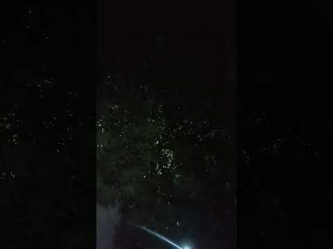 وظائف الإدارة المهام الوظيفية للمدير يعني ايه مدير ادارة اعمال إدارة الموارد البشرية