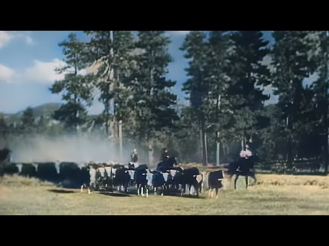 John Wayne | Helltown 1937 (Western, Colorized) directed by Charles Barton | written by Zane Grey class=