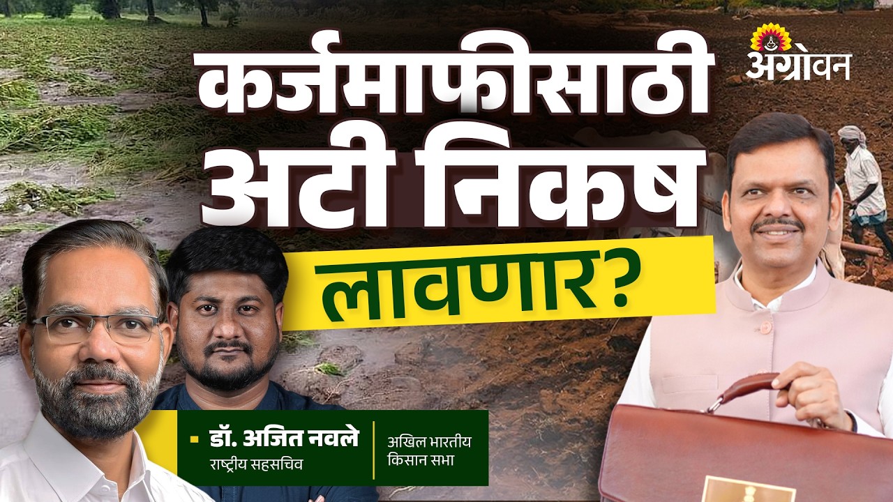 Shetkari Karjmafi : २ लाखांपर्यंतचं कर्ज कोणत्या शेतकऱ्यांचं माफ होणार? | Agrowon