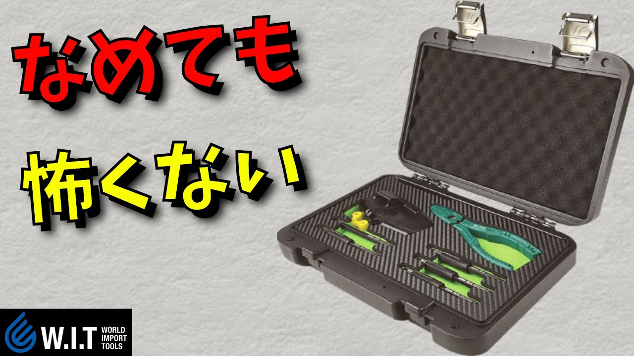 ニューベラス プラス 二本セット + おまけ オメガ3袋サービス ニューベラス プラス 二本セット + おまけ オメガ3袋サービス