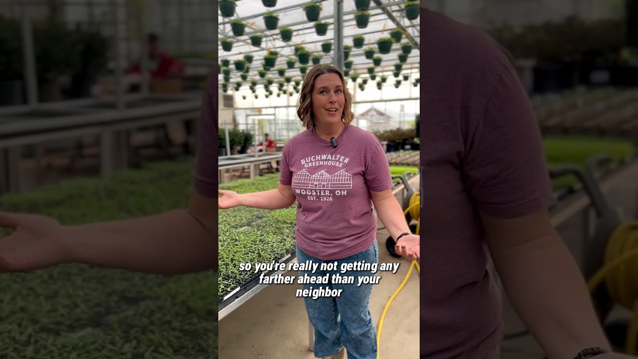 Buchwalter Greenhouse