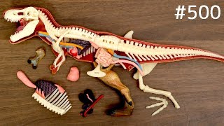 恐竜を解体して何食べるTRex & Stegosaurus Anatomy Model. Dinosaur puzzle