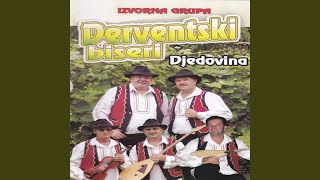 Derventska sela