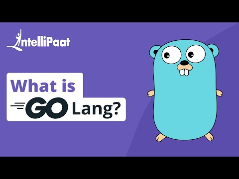 What Is Golang | What Is Golang Used For | Golang Tutorial For Beginners | Intellipaat