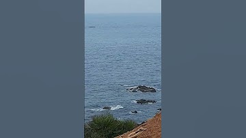 ان الذين يخشون ربهم بالغيب لهم مغفرة وأجر كبير# سورة الملك# الآية 12#