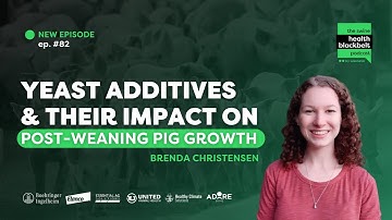 Brenda Christensen: Yeast Additives in Pig Health | Ep. 82