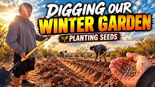 Can We Grow Food in the Arizona Desert This Winter?