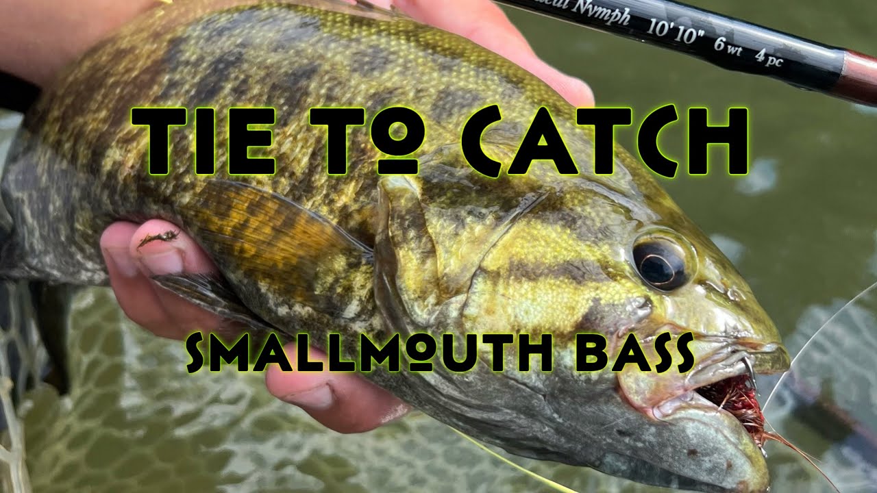 Tie to Catch Smallmouth Bass and Crayfish Flies YouTube
