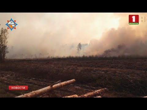 Площадь возгорания в районе Ольманских болот уменьшилась вдвое