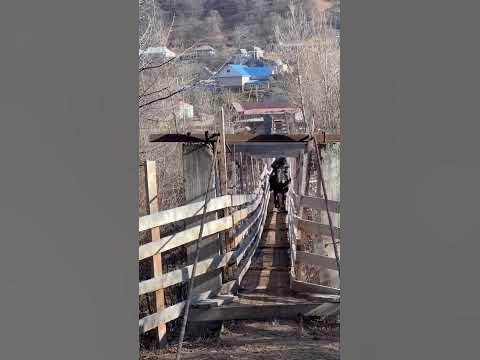 Вездеход ВЕНОМ , жеребец обладающий всеми ходовыми качествами - YouTube