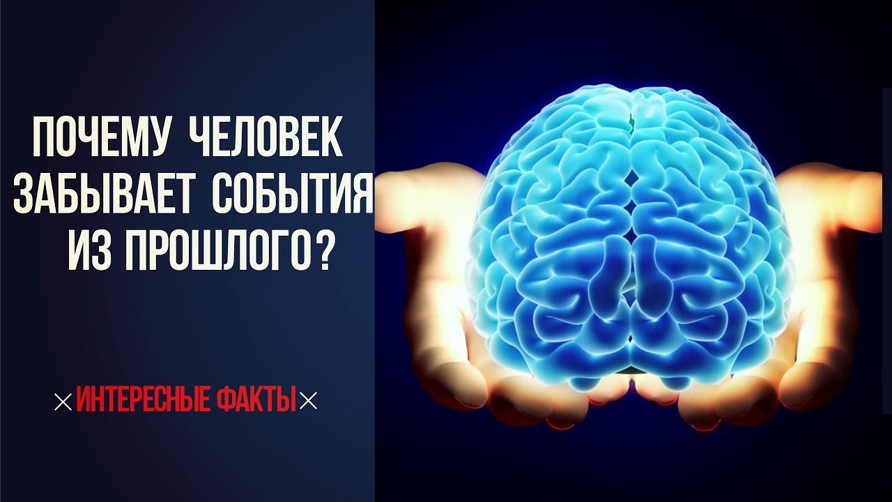 10 процентов мозга. Мозг на 100 процентов. Только 10 процентов мозга. 100 Задач на мозг. Используй мозг на 100.