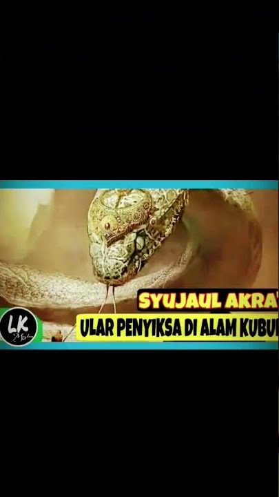 Ular Falak VS Ular Syuja'ul al aqra #short